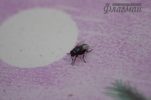 IMGP1281_r